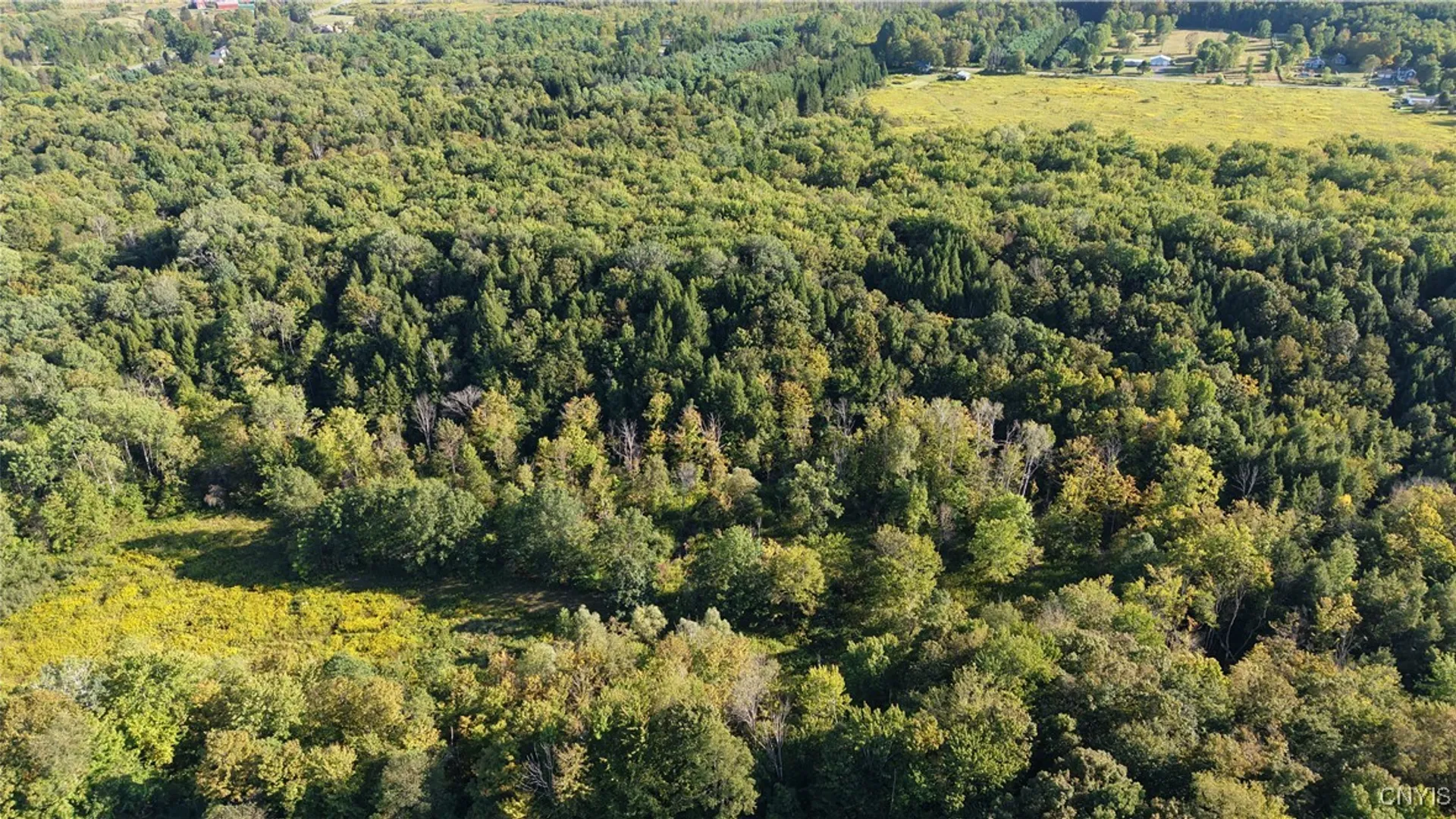 Property at NYS Old Route 12, Trenton, NY 13354 4