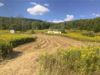 Property at 2363 W State Route 221, Lapeer, NY 13803