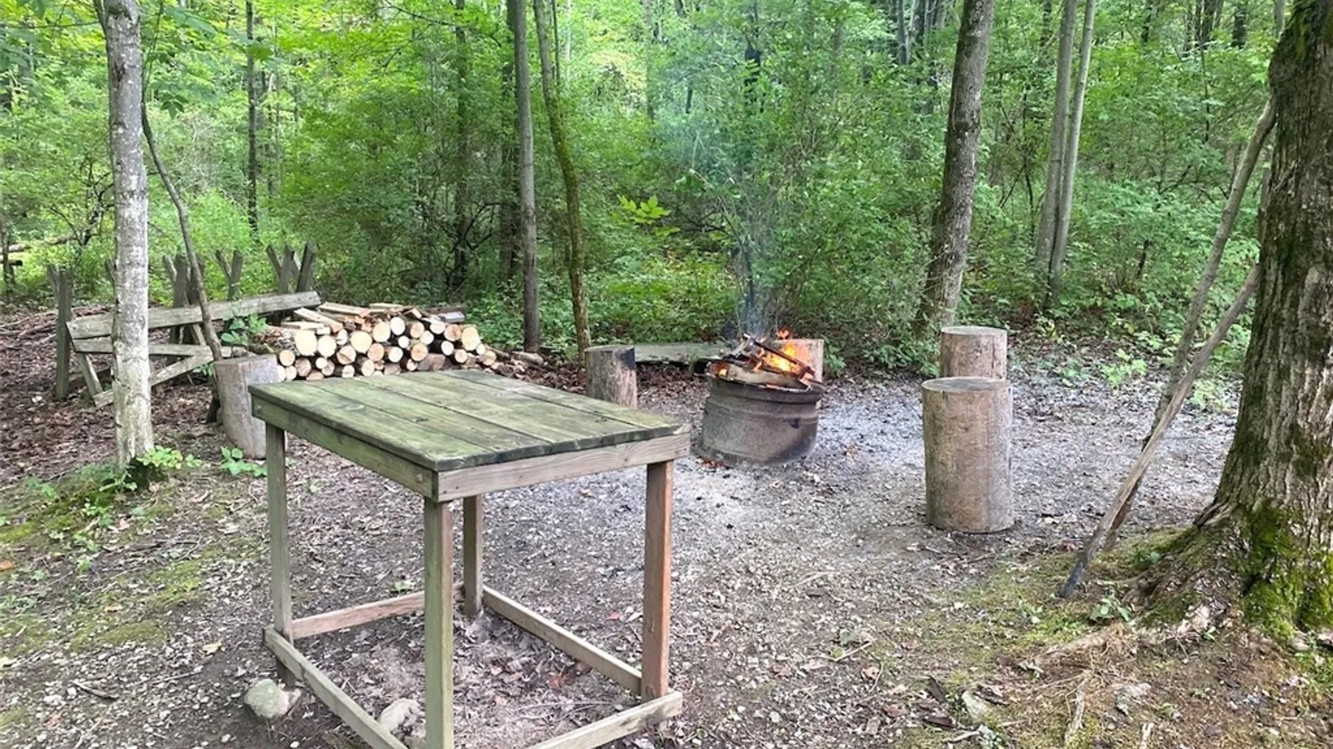 Property at 9516 Gas Springs Road, Burns, NY 14822 12