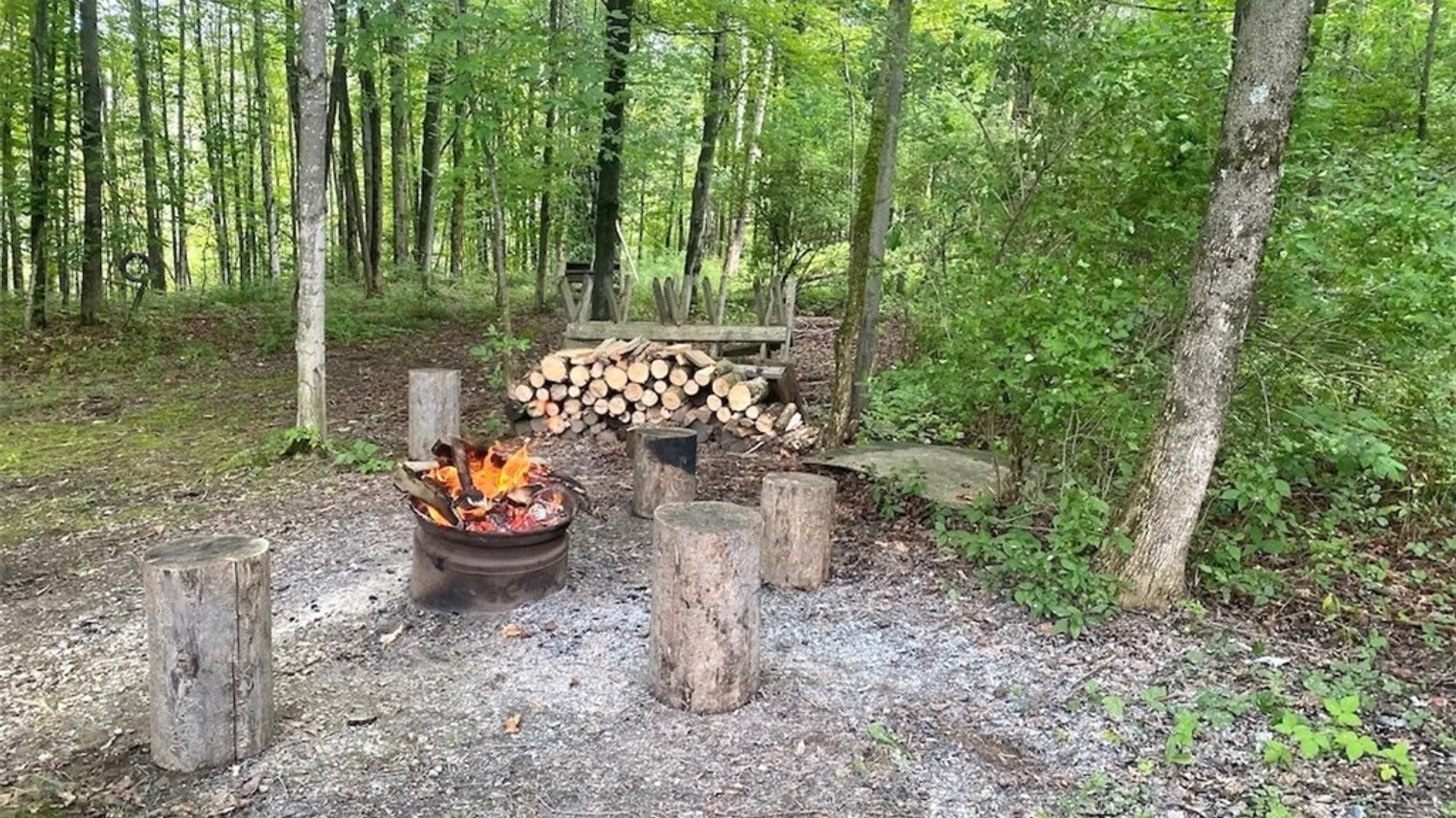Property at 9516 Gas Springs Road, Burns, NY 14822 13