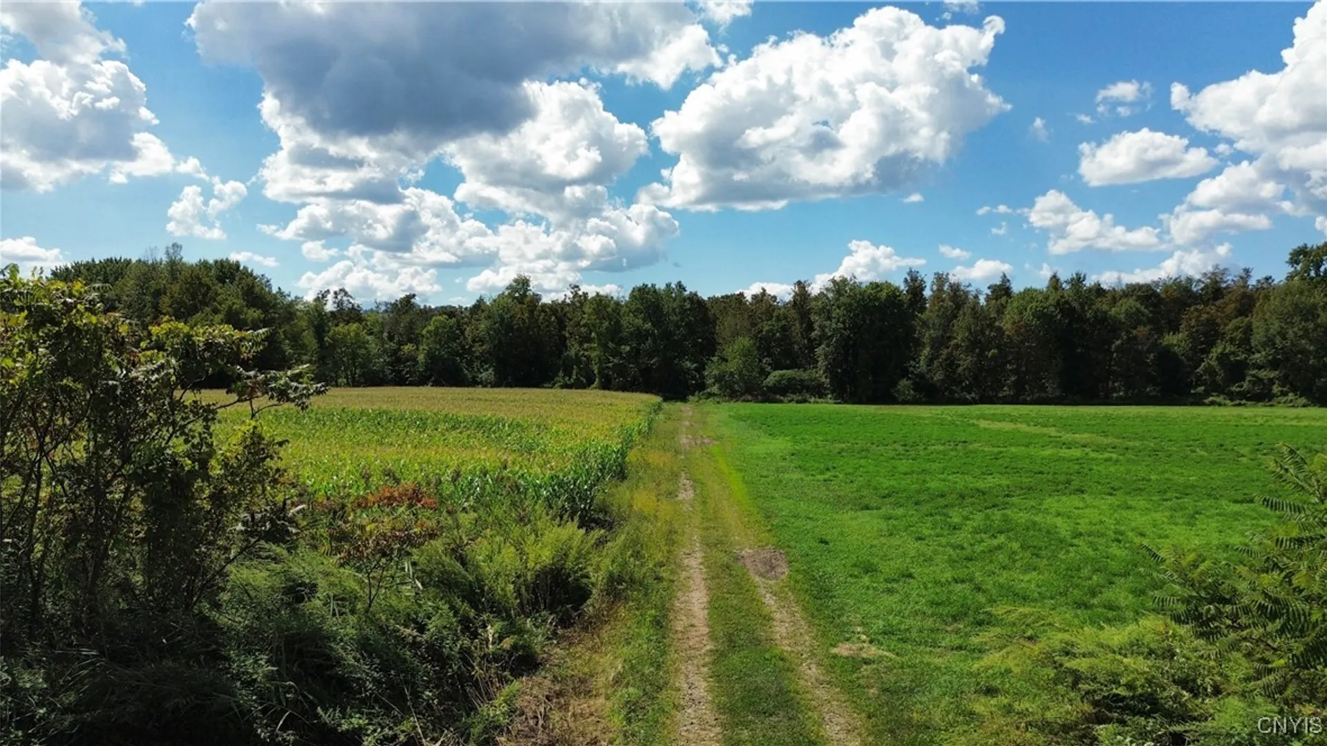 Property at Lot 14.1 Lot 1 Ashe Road, Manheim, NY 13365 4