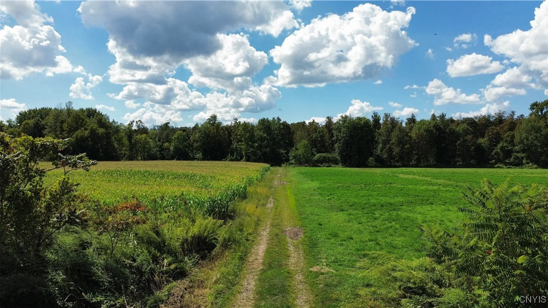Property at Lot 14.1 Lot 1 Ashe Road, Manheim, NY 13365 5