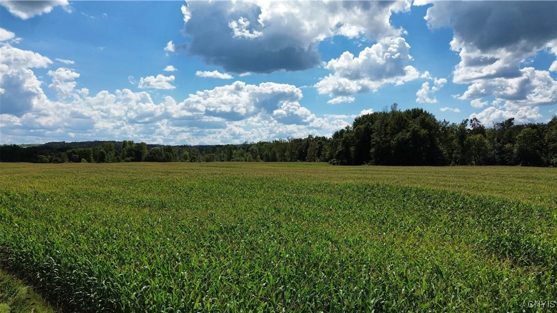 Property at Lot 14.1 Lot 1 Ashe Road, Manheim, NY 13365 7