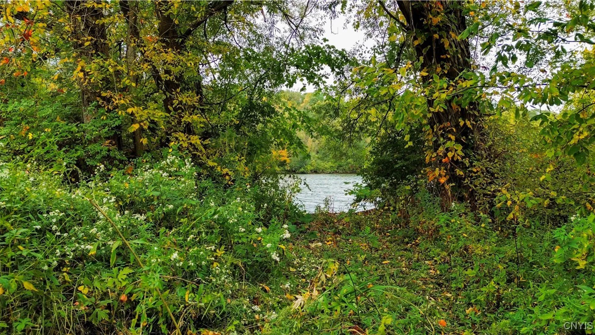 Property at Lot 14.1 Lot 1 Ashe Road, Manheim, NY 13365 21