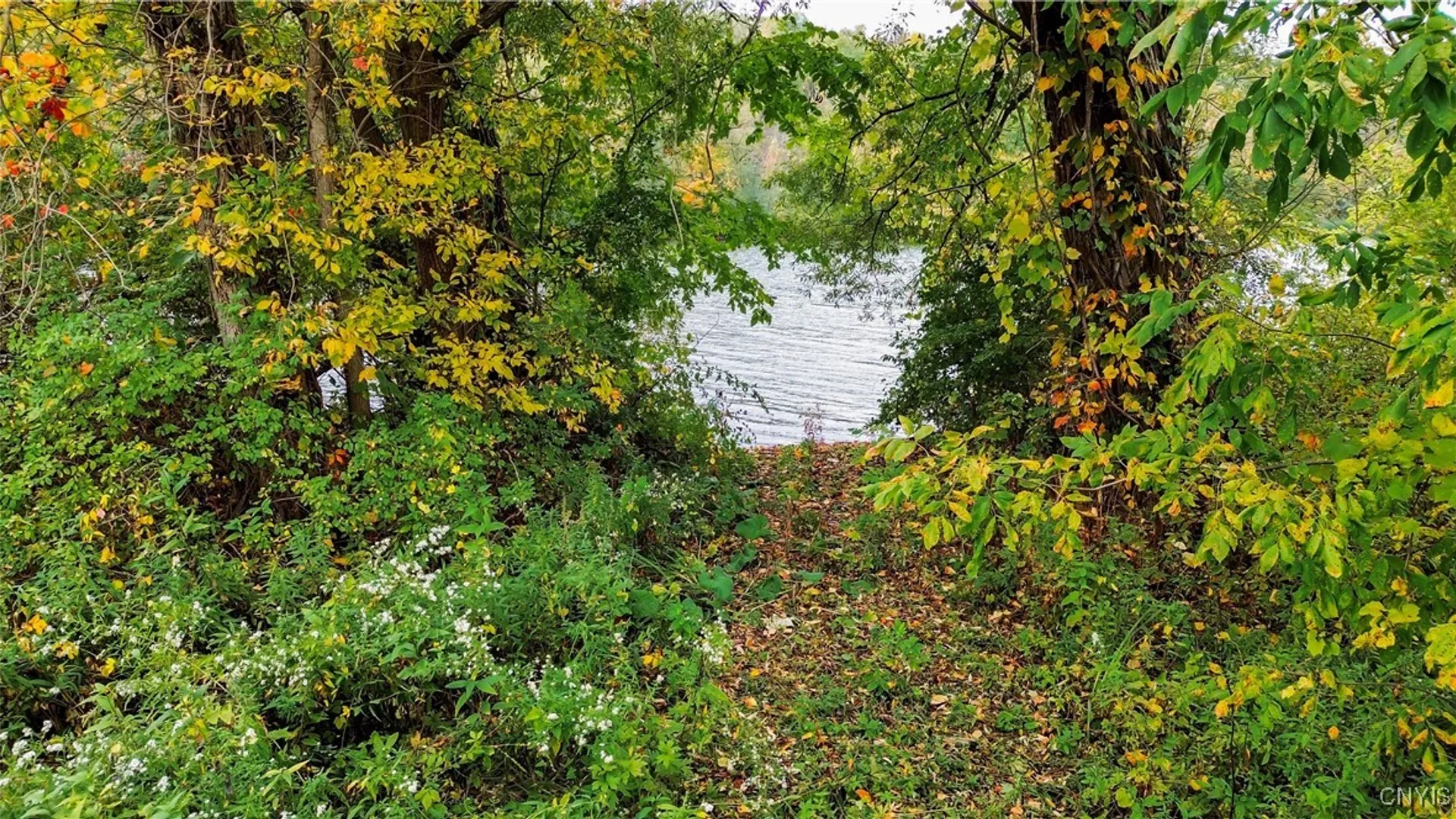 Property at Lot 14.1 Lot 1 Ashe Road, Manheim, NY 13365 22