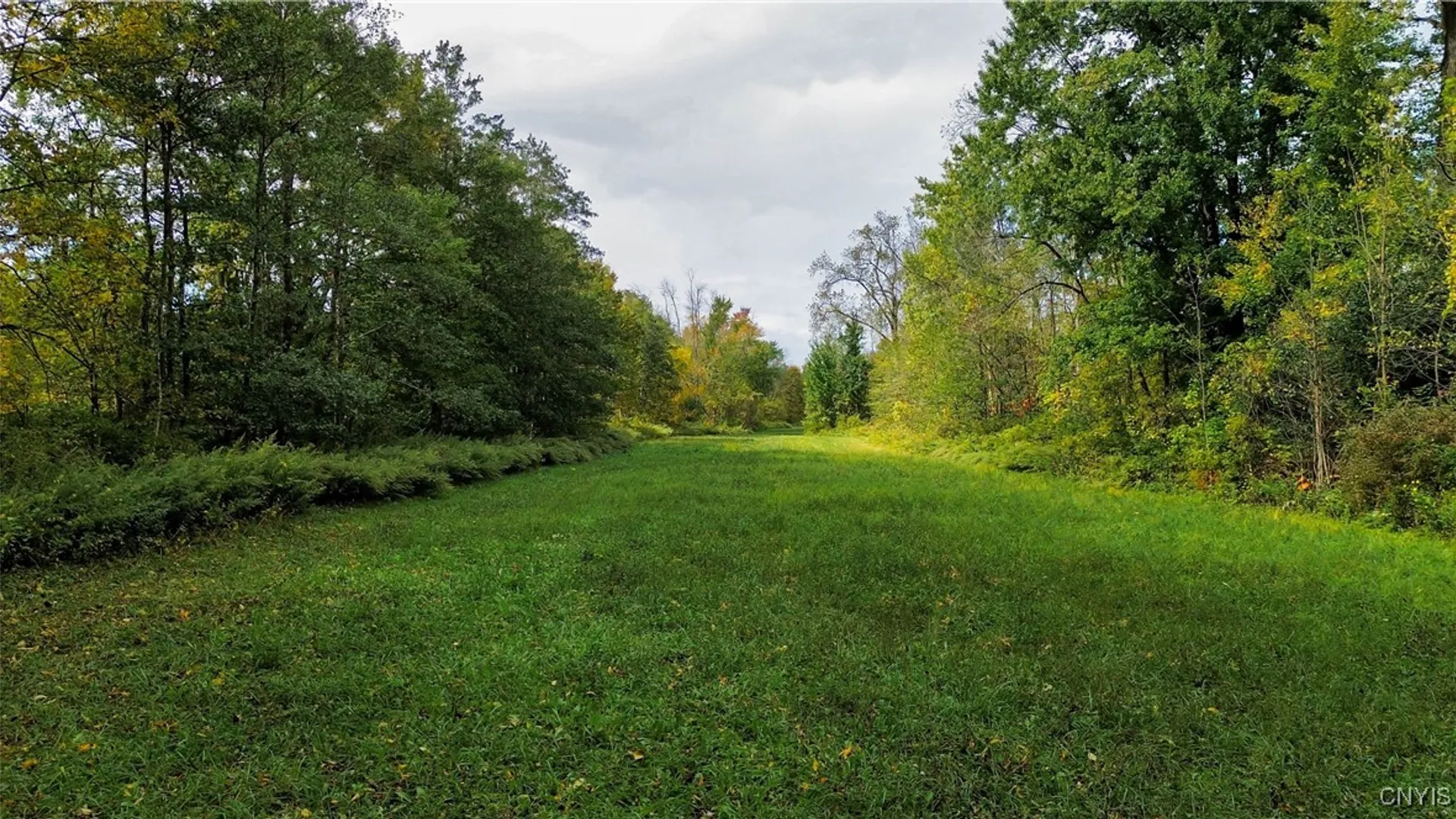 Property at Lot 14.1 Lot 1 Ashe Road, Manheim, NY 13365 23