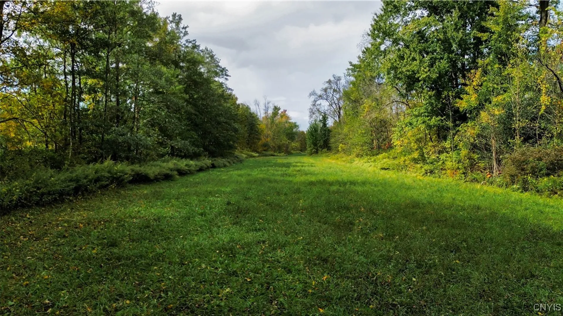 Property at Lot 14.1 Lot 1 Ashe Road, Manheim, NY 13365 24