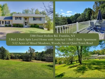 Property at 3388 Freer Hollow Road, Franklin, NY 13856