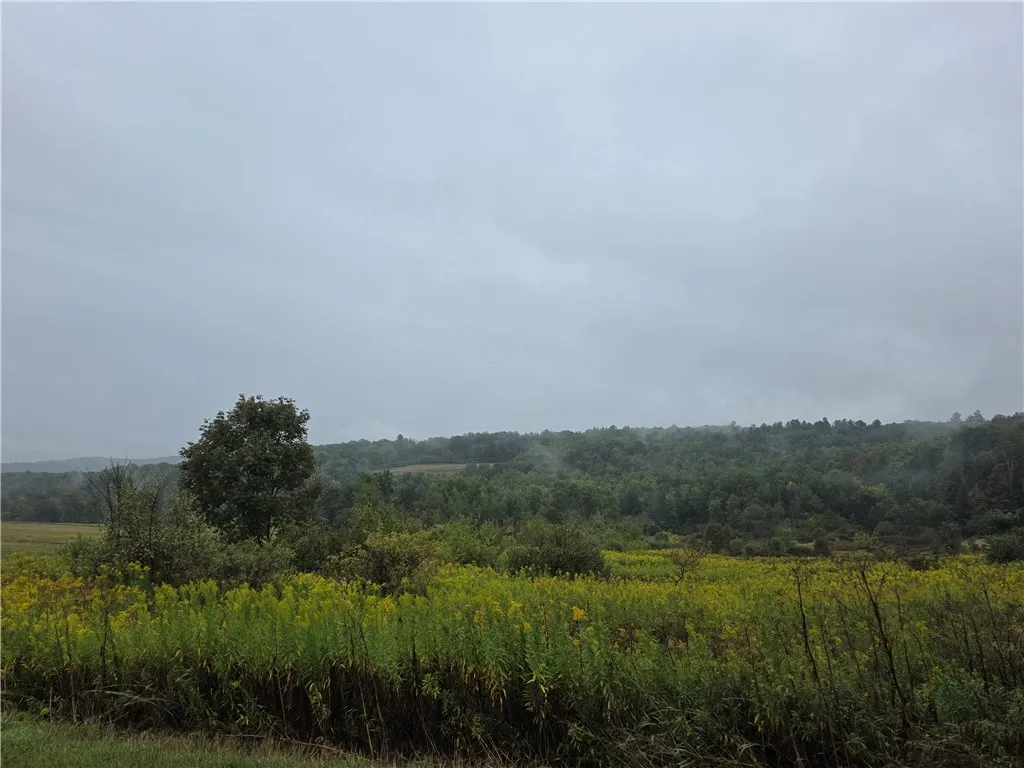 Property at 0 Symonds Road, Woodhull, NY 14801