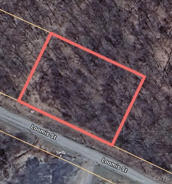 Property at Loomis Street, Little Falls City, NY 13365