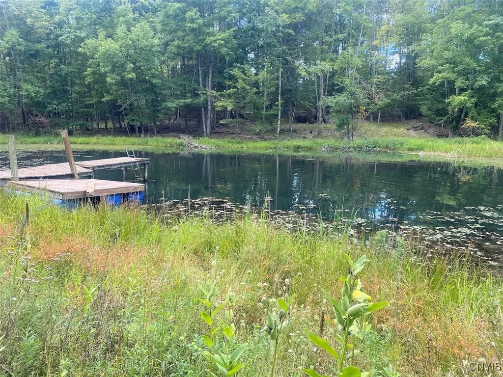 Property at Oramel Hill Road, Caneadea, NY 14717