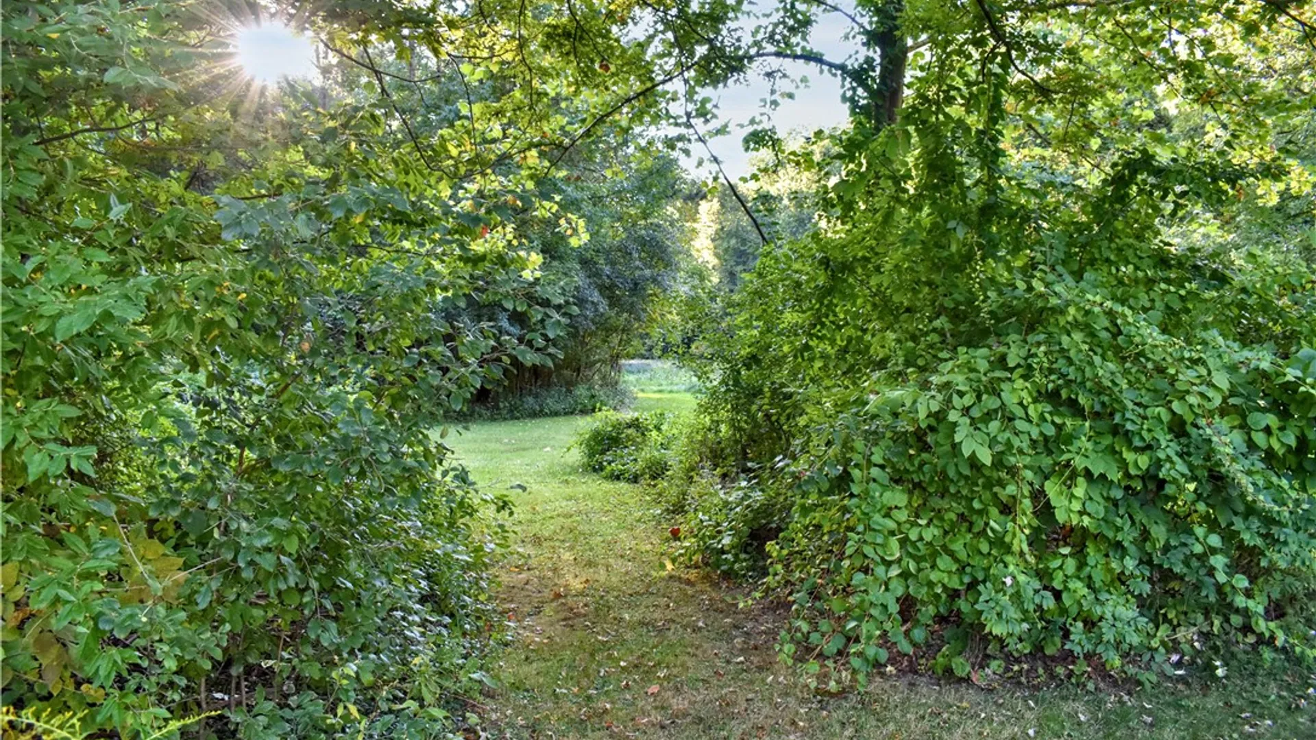 Property at 9692 Summit Street Road, Pavilion, NY 14482 21