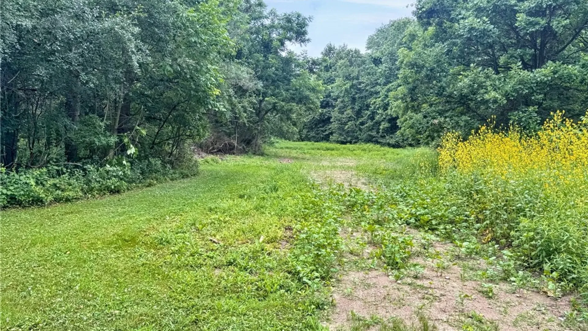 Property at 9692 Summit Street Road, Pavilion, NY 14482 24