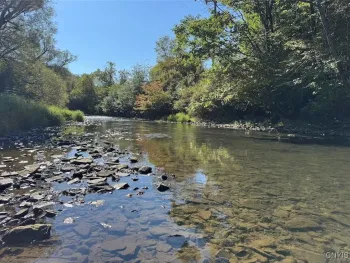 Property at 5979 Route 16, Franklinville, NY 14743
