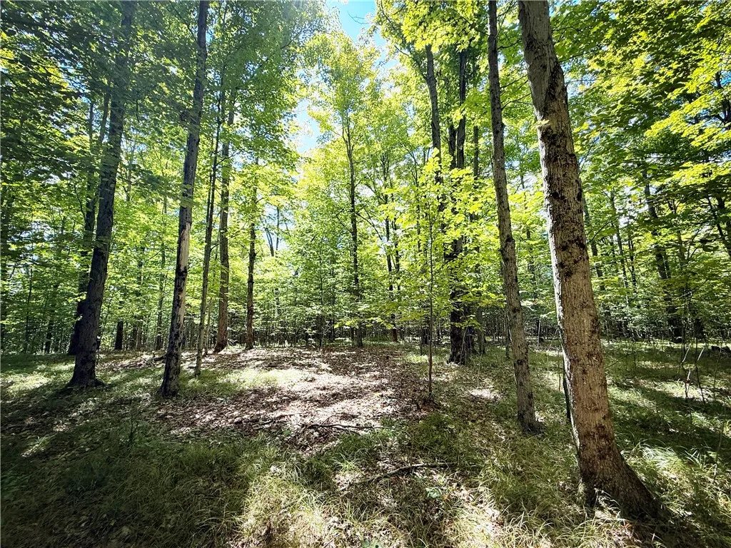 Property at 0 Cornell Hollow Road, Owego, NY 13732