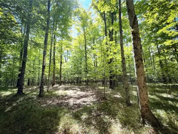 Property at 0 Cornell Hollow Road, Owego, NY 13732