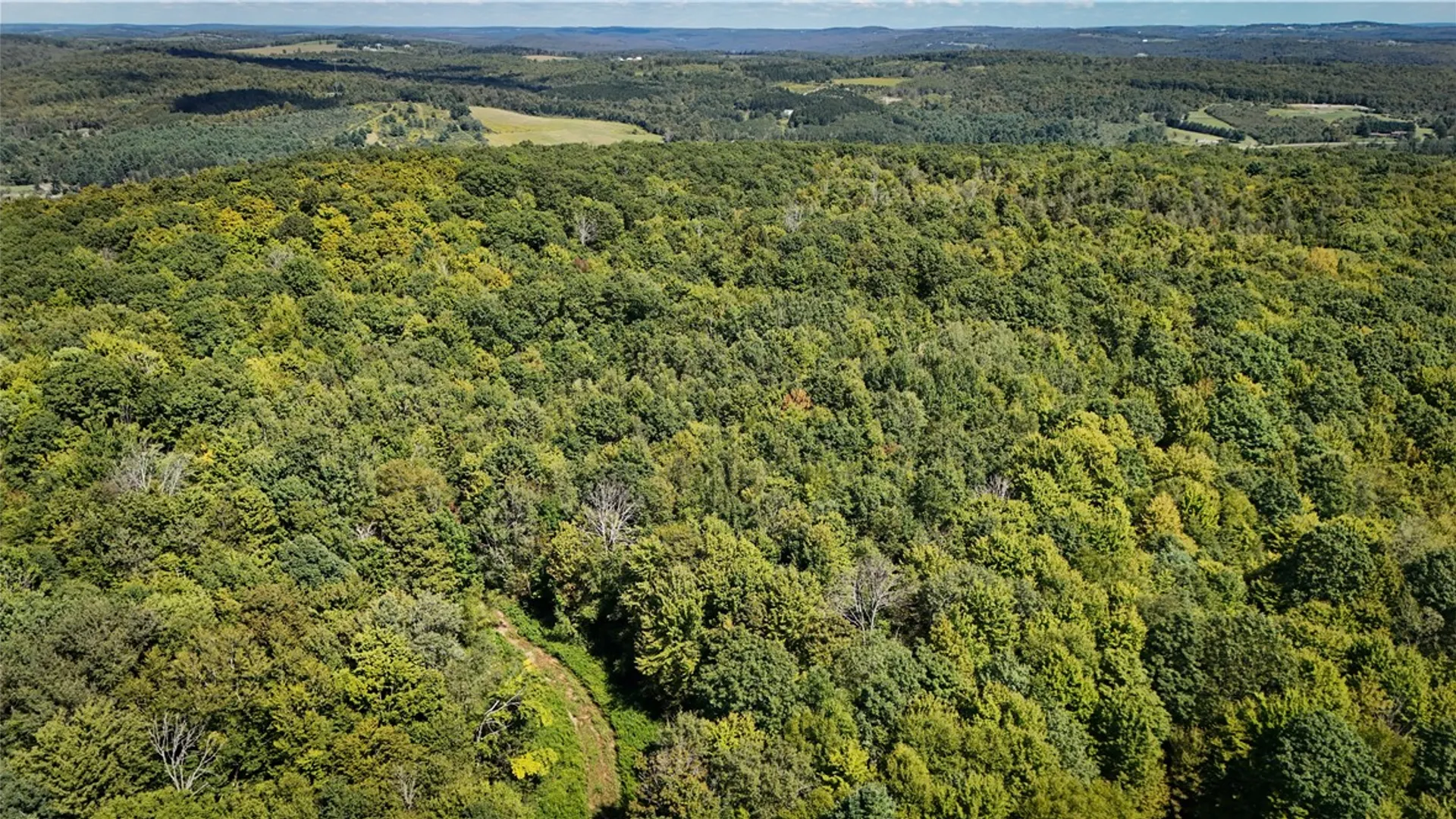 Property at 0 Cornell Hollow Road, Owego, NY 13732 3