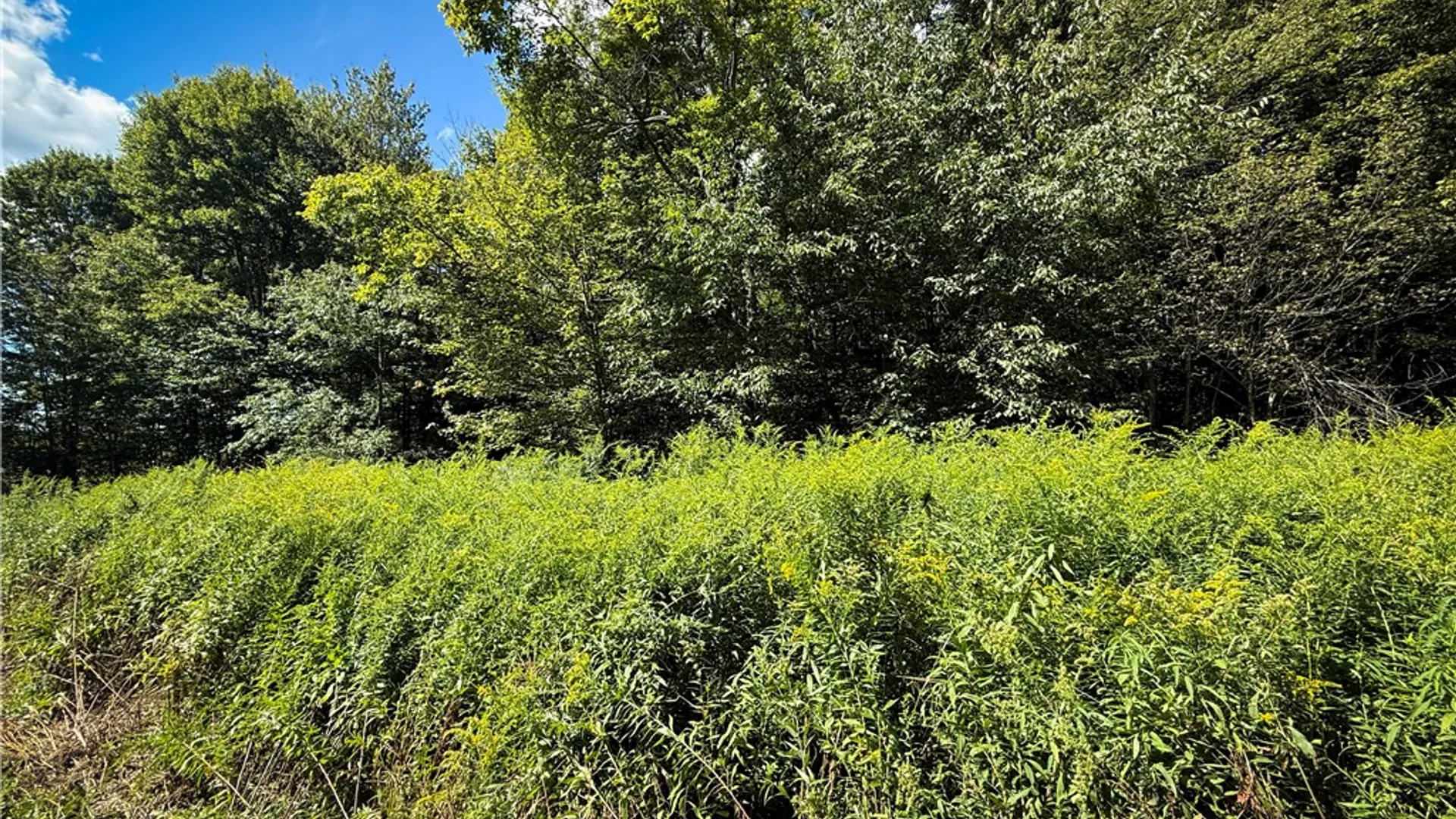 Property at 0 Cornell Hollow Road, Owego, NY 13732 4