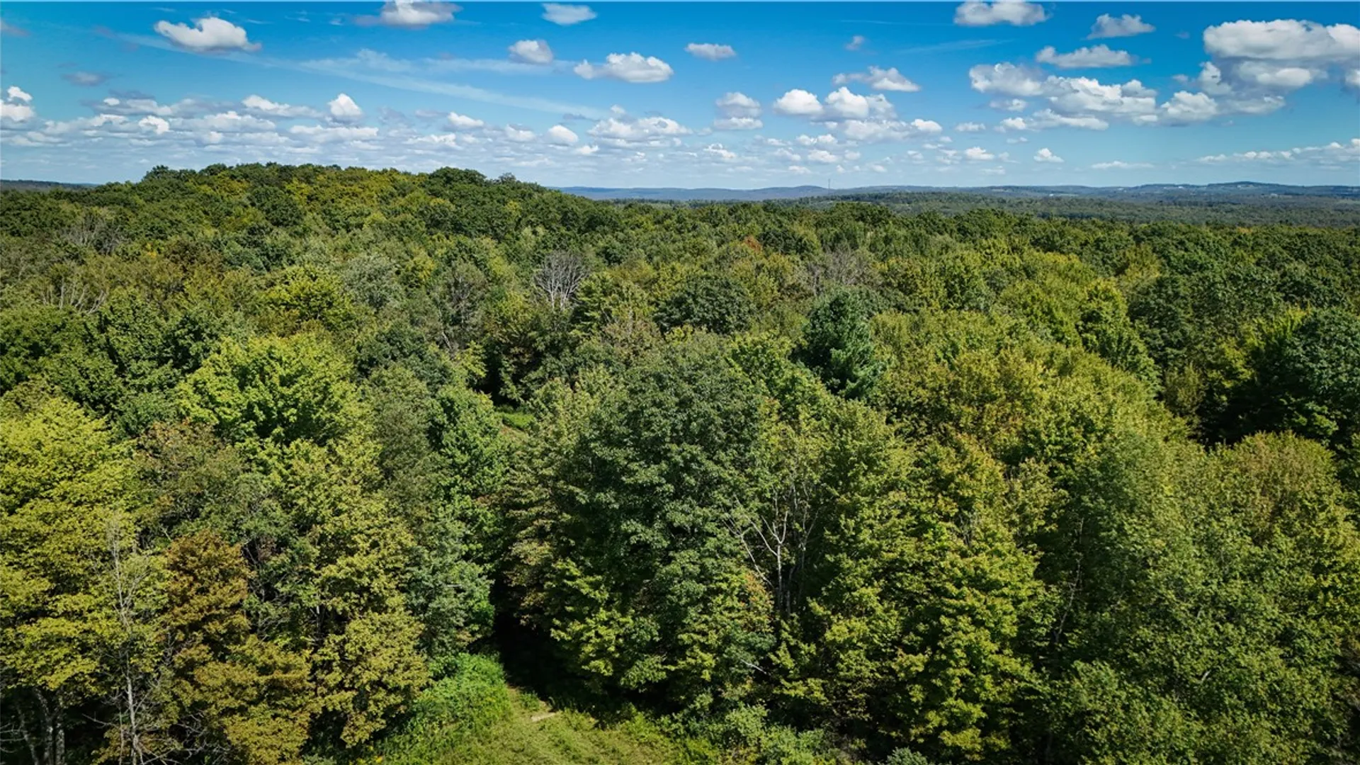 Property at 0 Cornell Hollow Road, Owego, NY 13732 9