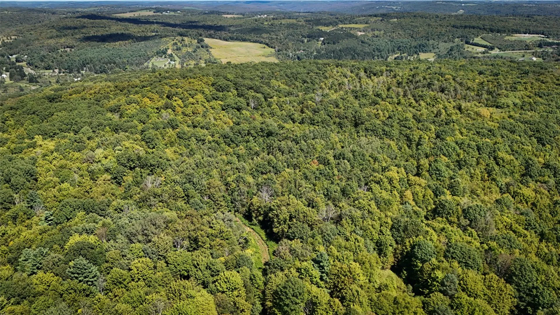 Property at 0 Cornell Hollow Road, Owego, NY 13732 10