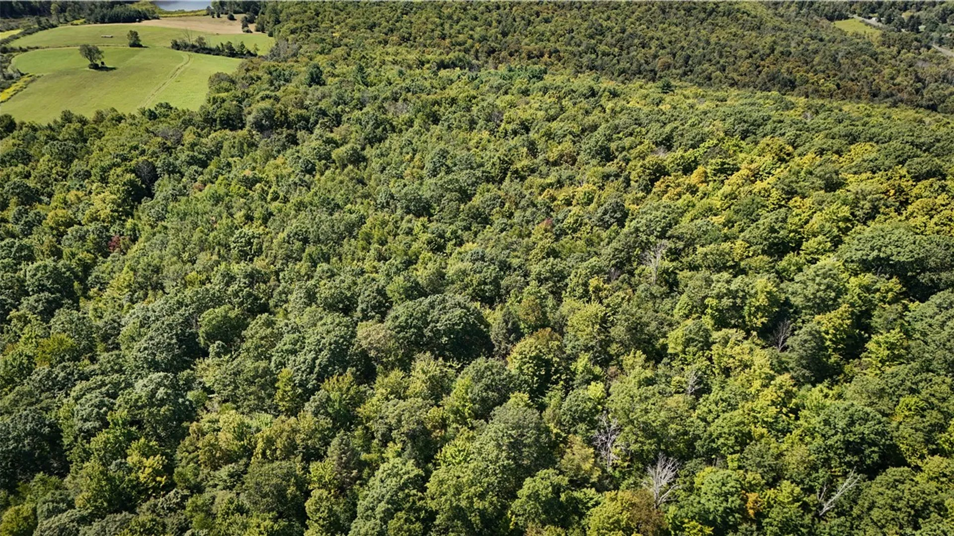 Property at 0 Cornell Hollow Road, Owego, NY 13732 11