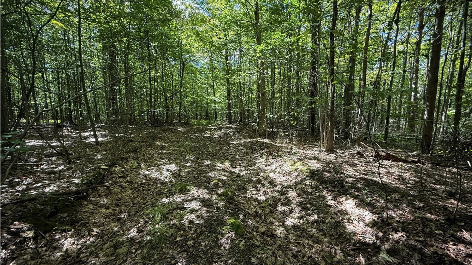 Property at 0 Cornell Hollow Road, Owego, NY 13732 12