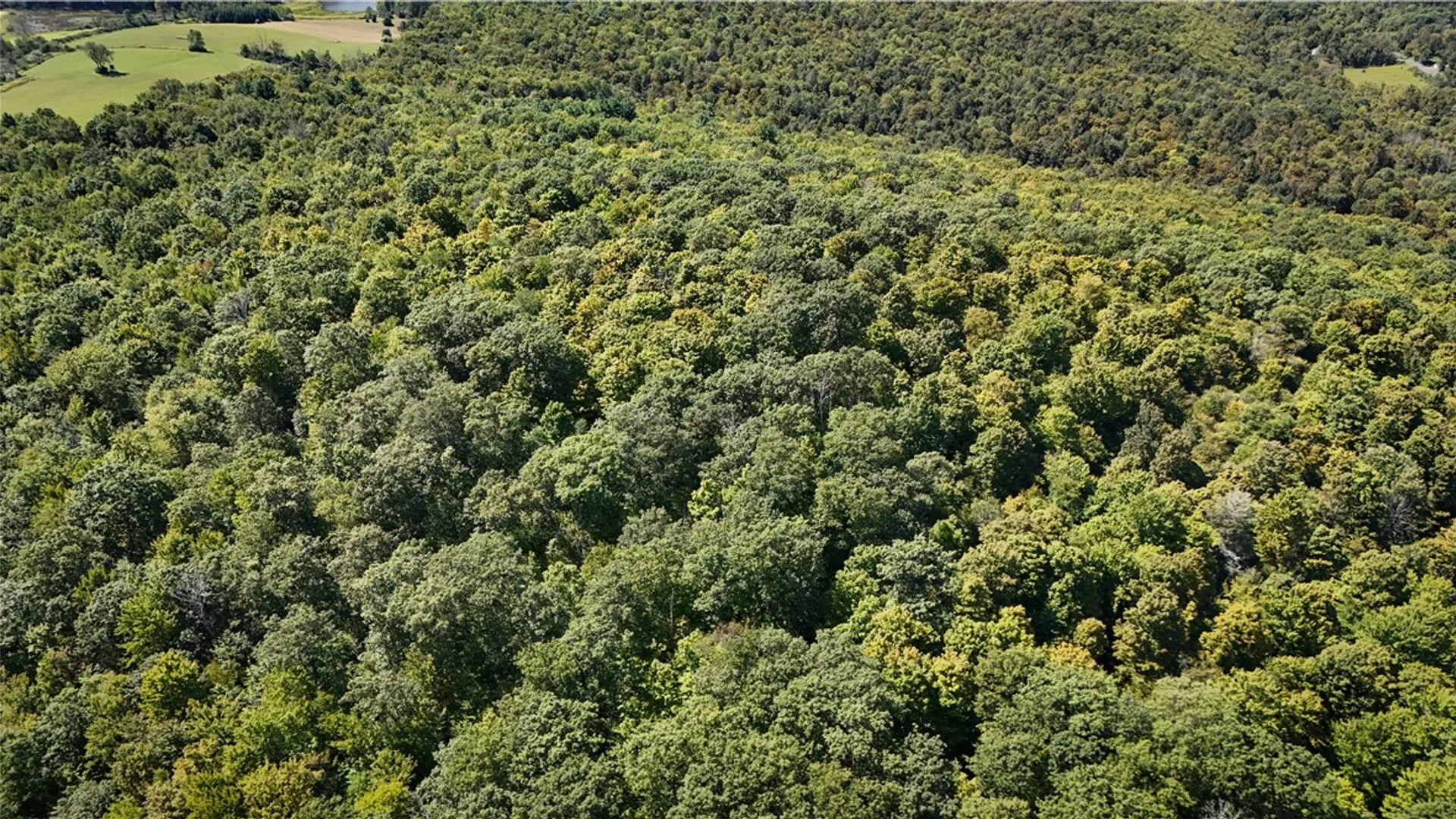 Property at 0 Cornell Hollow Road, Owego, NY 13732 18
