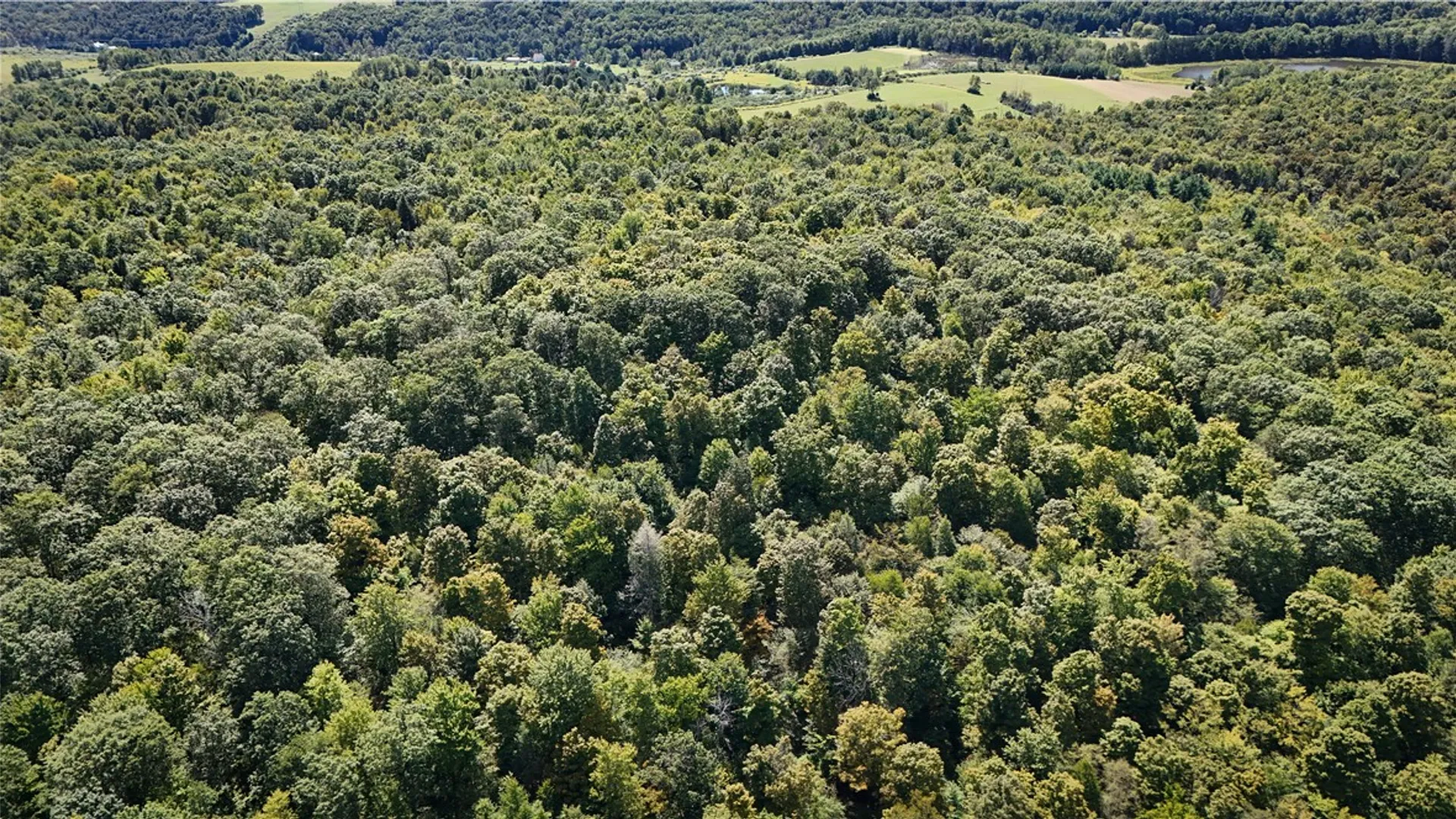 Property at 0 Cornell Hollow Road, Owego, NY 13732 19