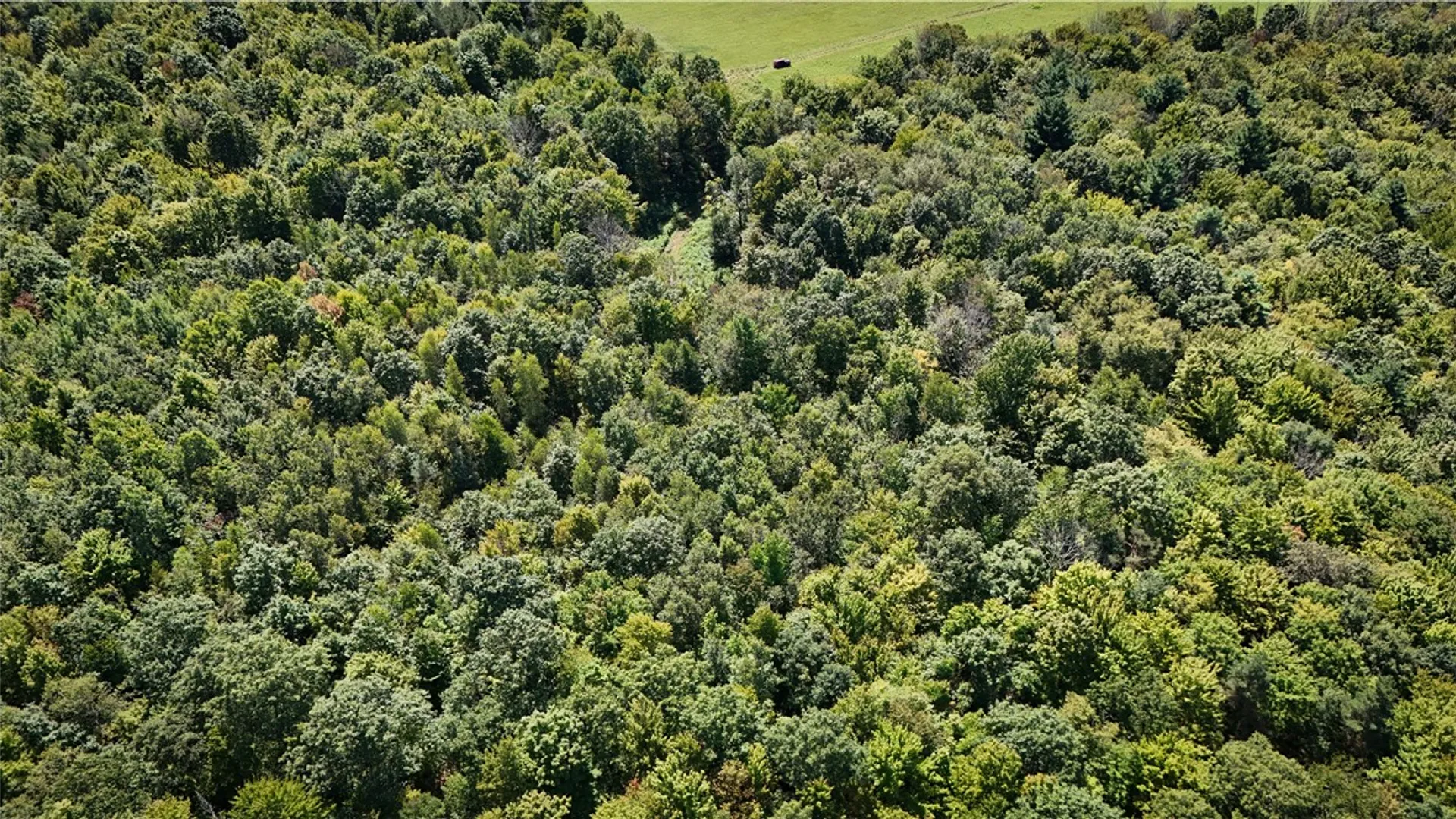 Property at 0 Cornell Hollow Road, Owego, NY 13732 21
