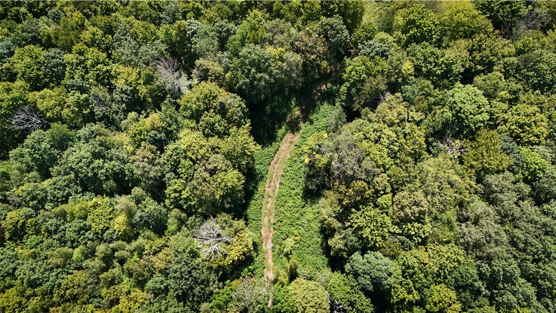 Property at 0 Cornell Hollow Road, Owego, NY 13732 22