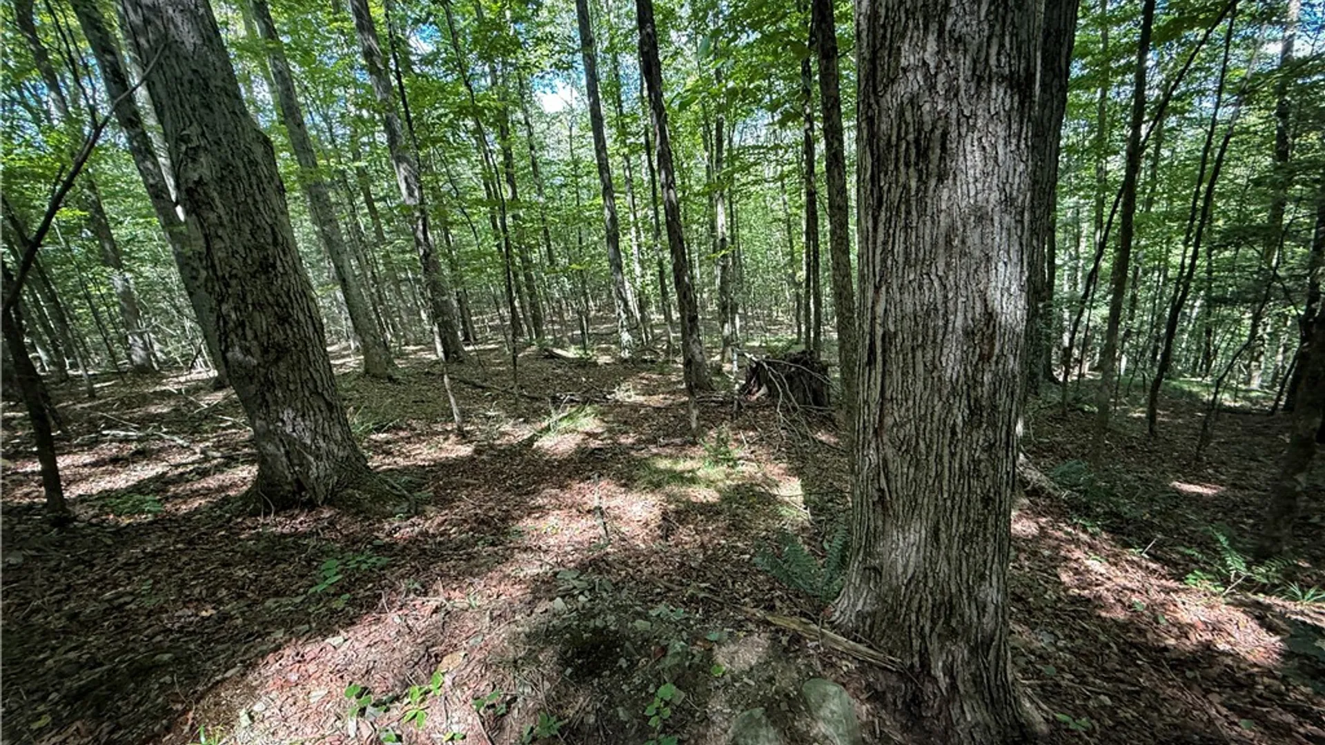 Property at 0 Cornell Hollow Road, Owego, NY 13732 25