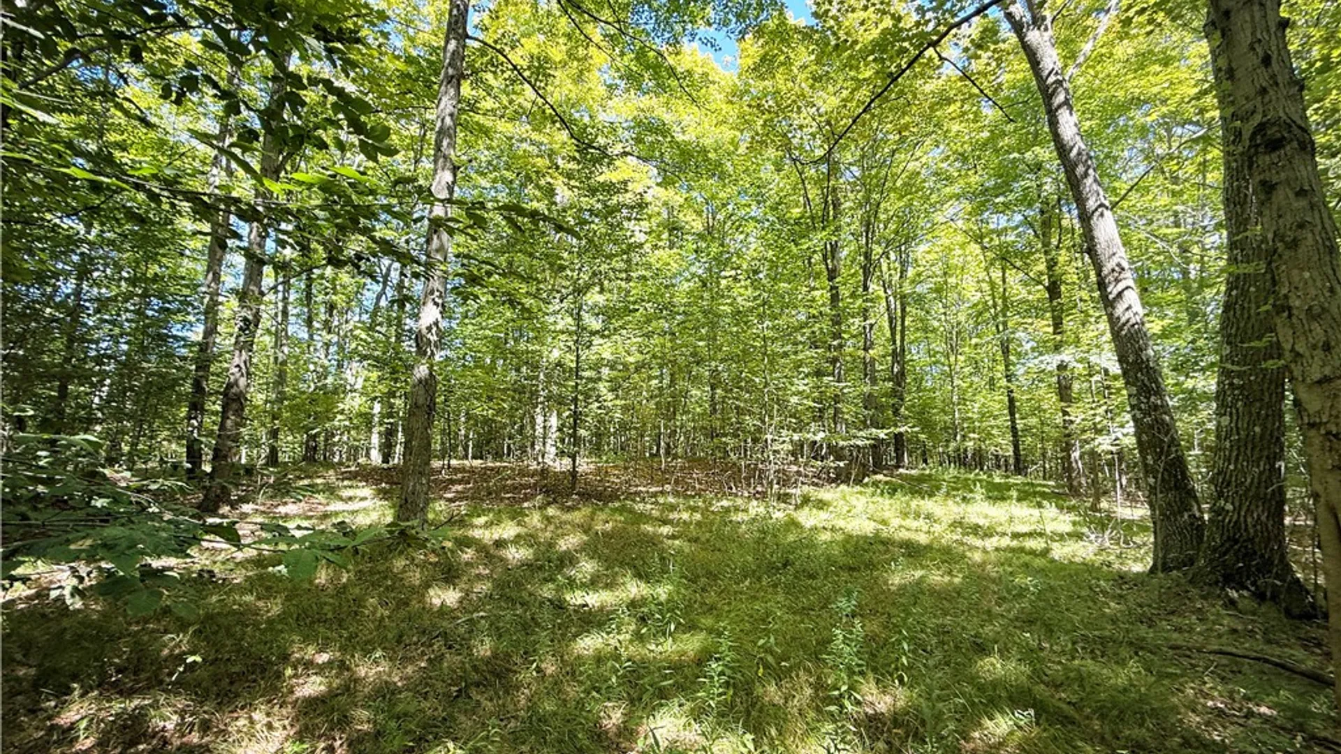 Property at 0 Cornell Hollow Road, Owego, NY 13732 26