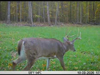 Property at 0 Cornell Hollow Road, Owego, NY 13732