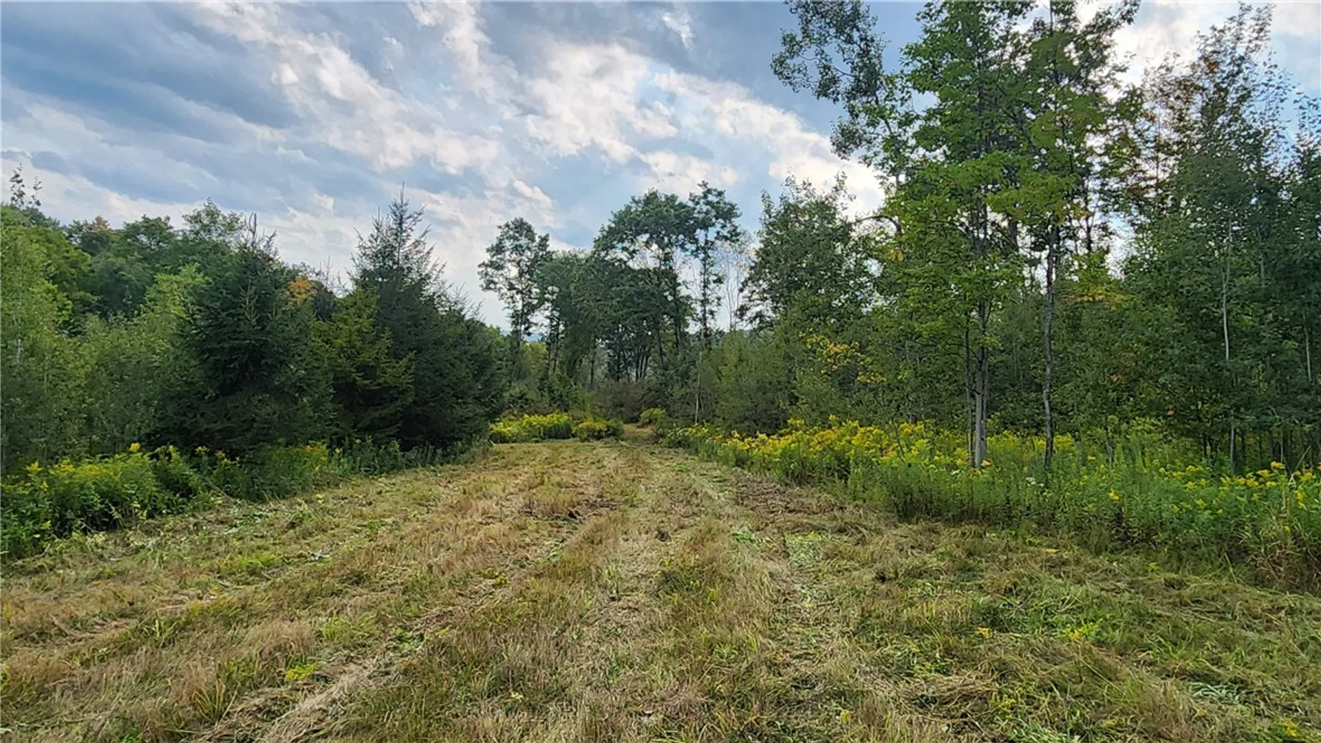 Property at Humphrey Road, Humphrey, NY 14741 14