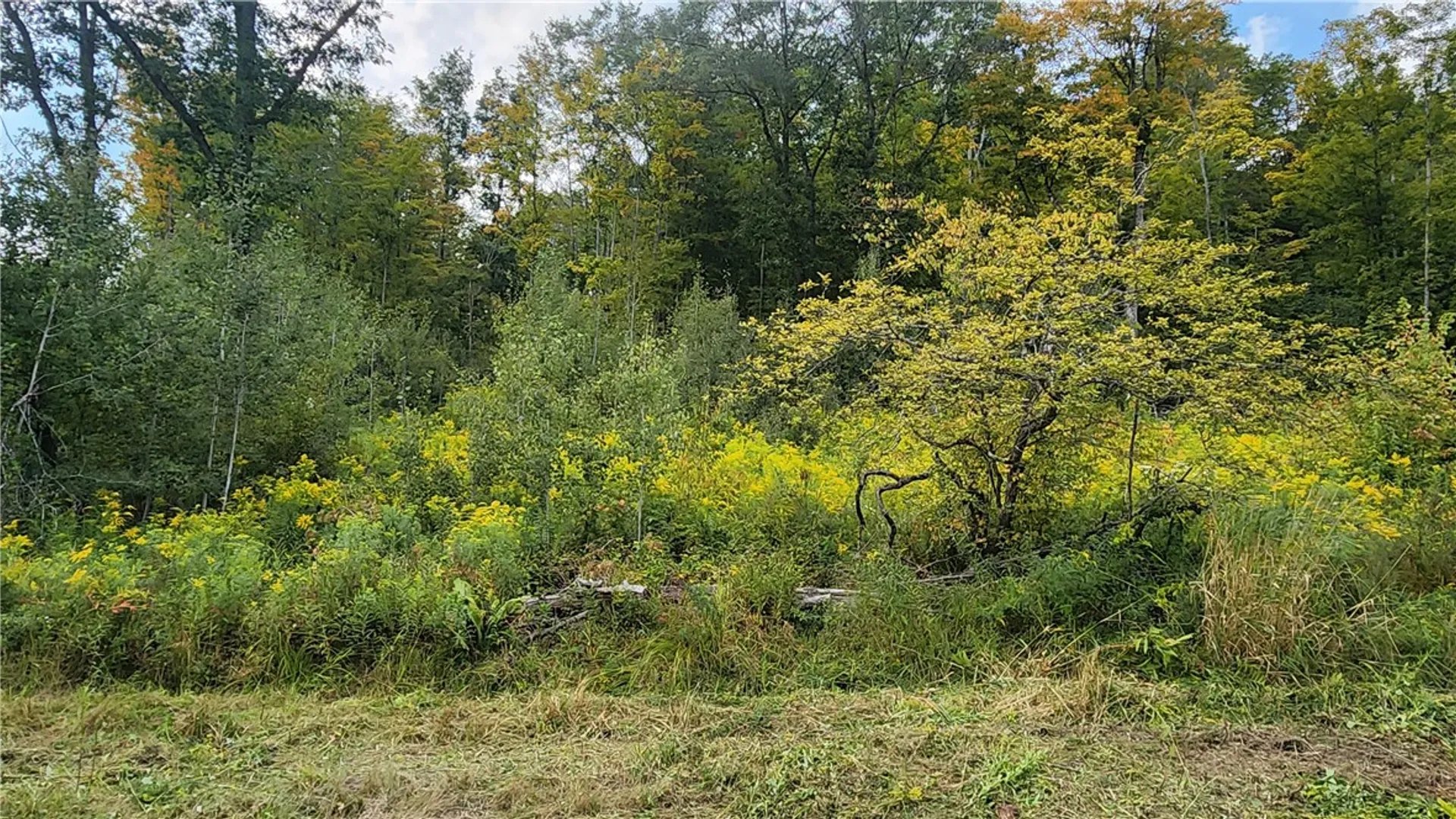 Property at Humphrey Road, Humphrey, NY 14741 15