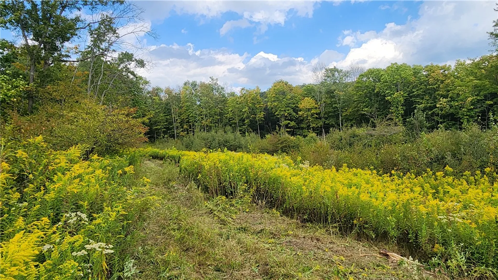 Property at Humphrey Road, Humphrey, NY 14741 16