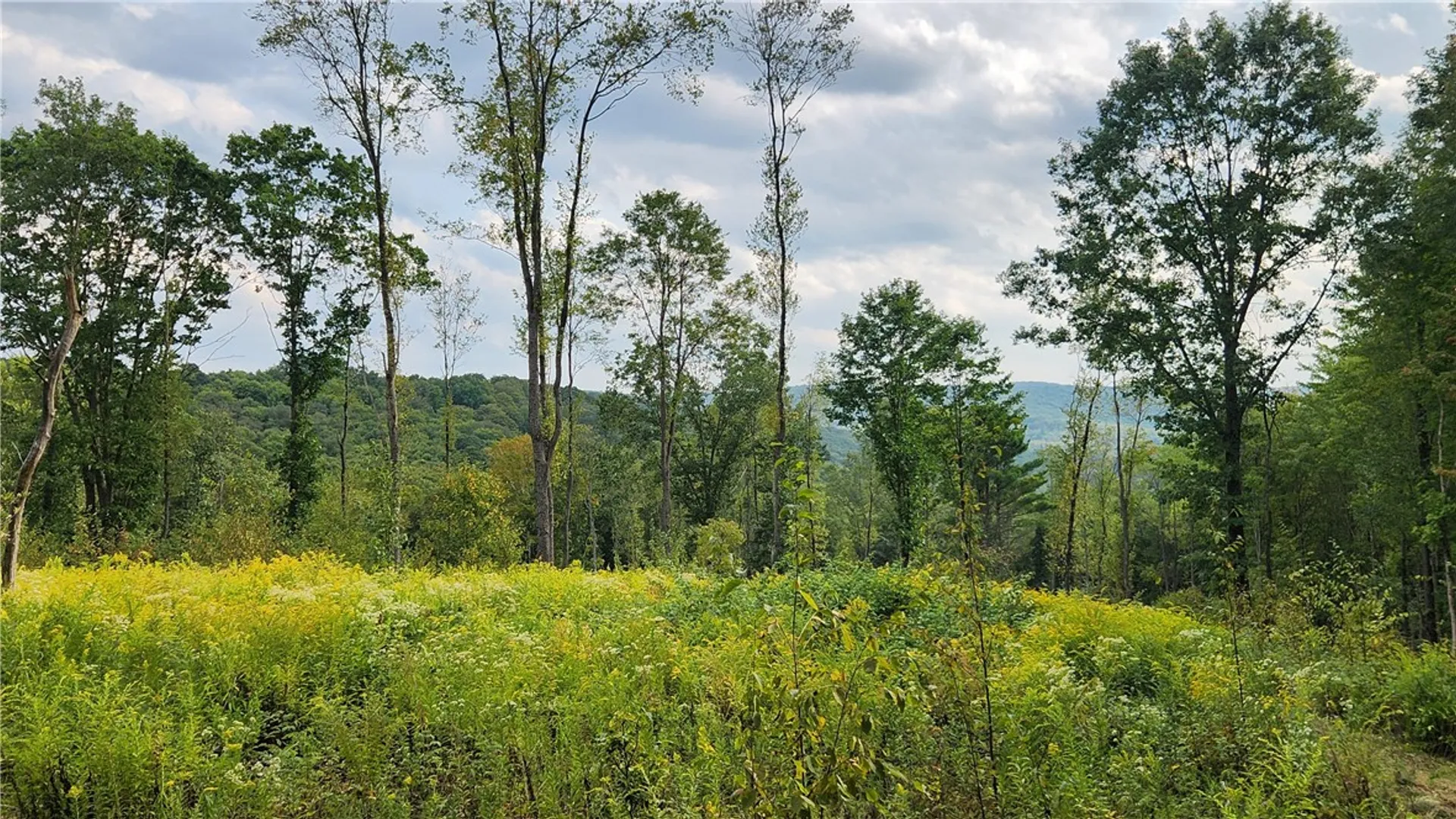 Property at Humphrey Road, Humphrey, NY 14741 17