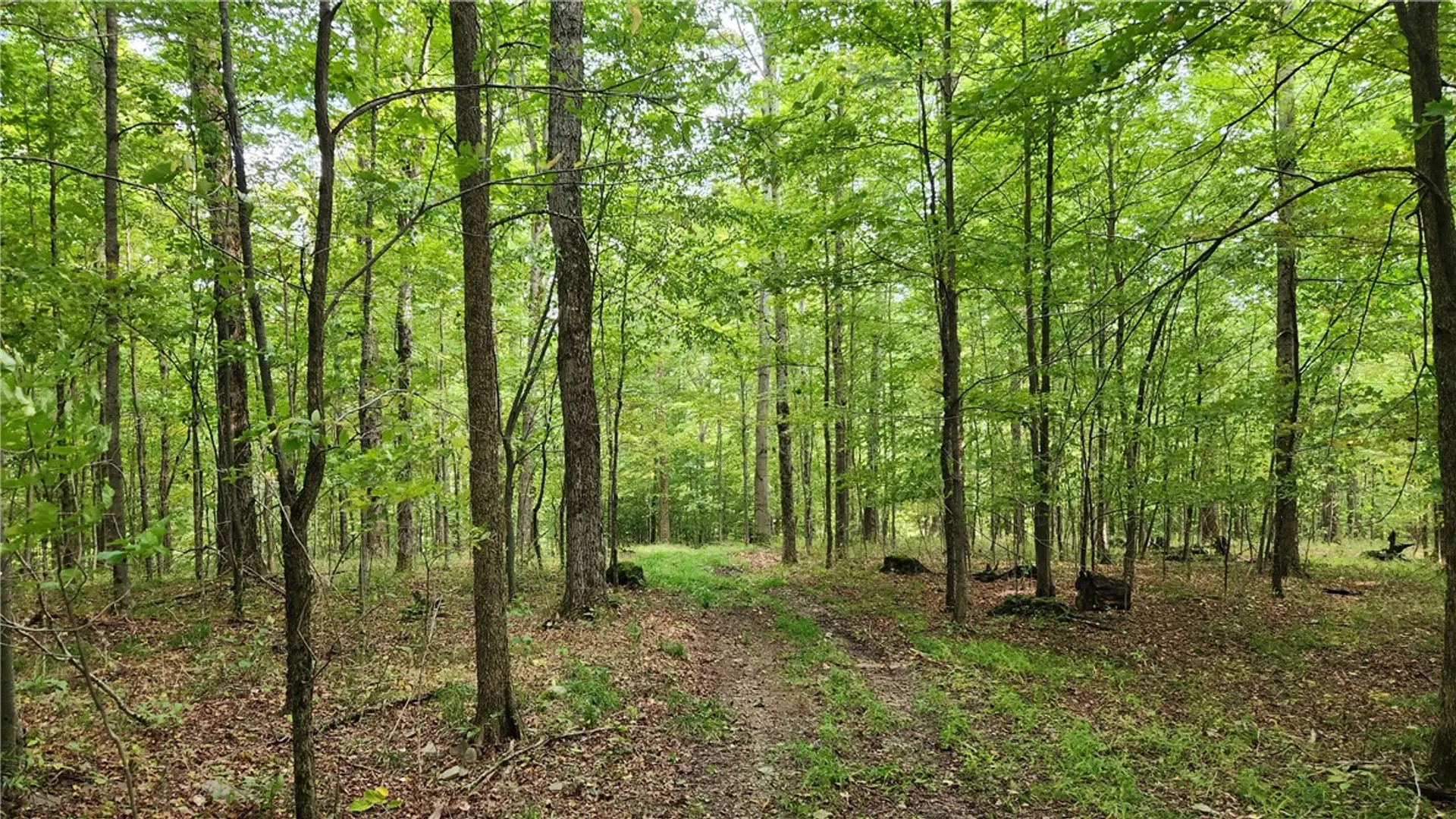 Property at Humphrey Road, Humphrey, NY 14741 18
