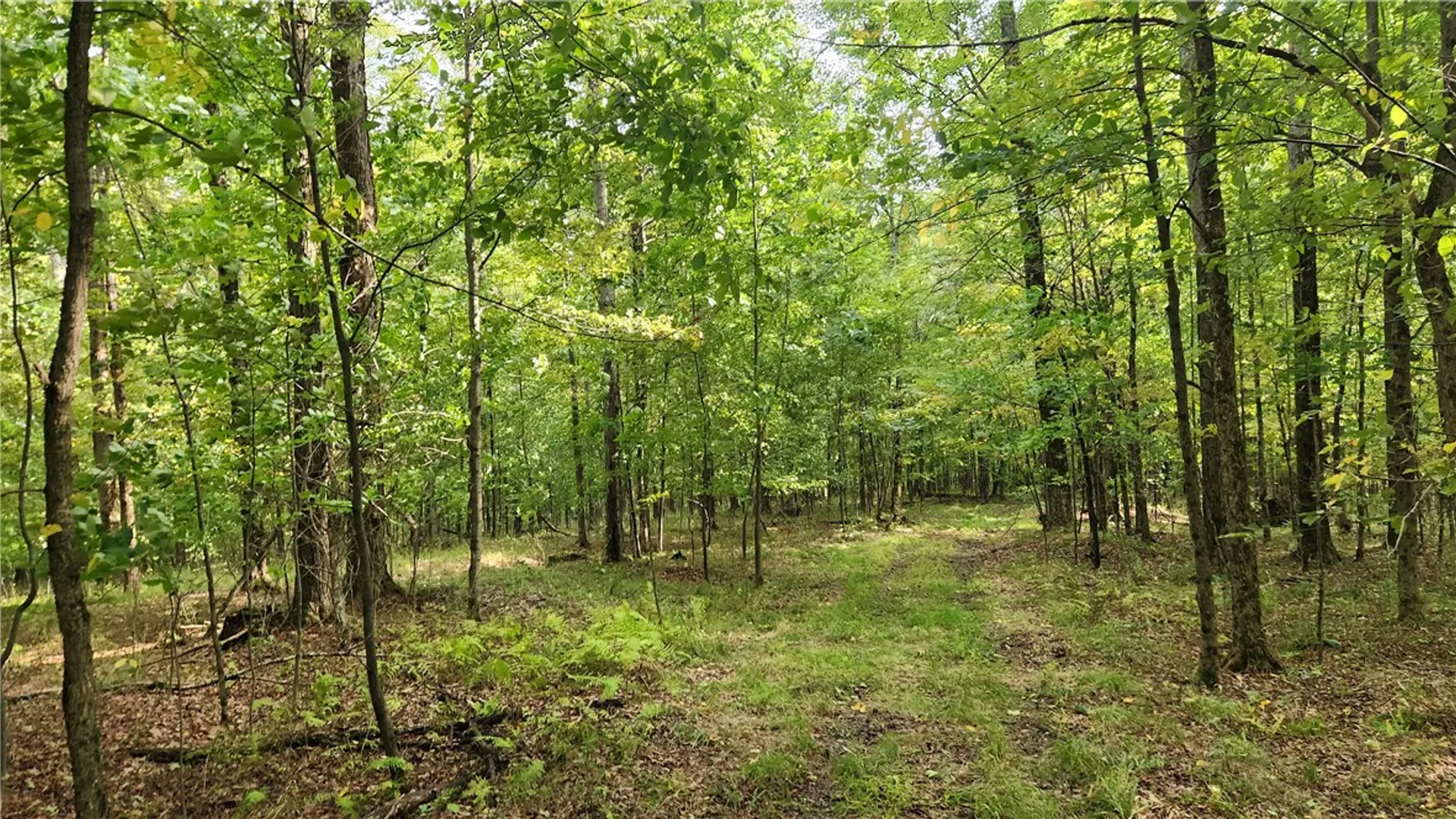 Property at Humphrey Road, Humphrey, NY 14741 19