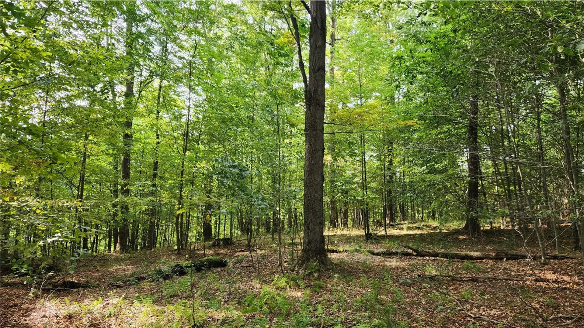 Property at Humphrey Road, Humphrey, NY 14741 20