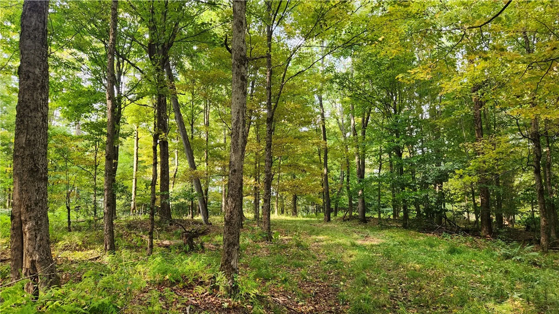 Property at Humphrey Road, Humphrey, NY 14741 22