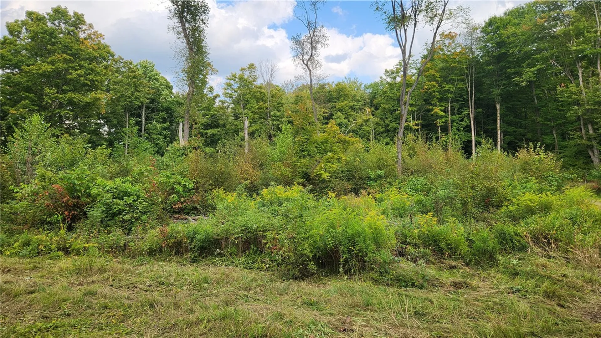 Property at Humphrey Road, Humphrey, NY 14741 25