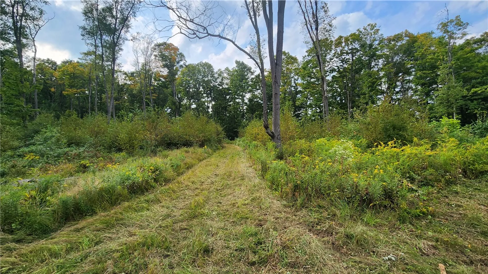 Property at Humphrey Road, Humphrey, NY 14741 26