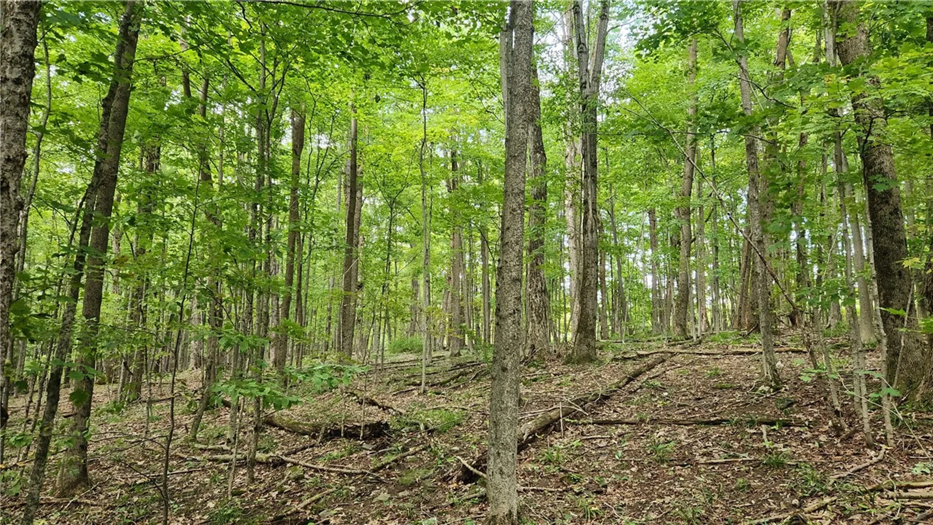 Property at Humphrey Road, Humphrey, NY 14741 6