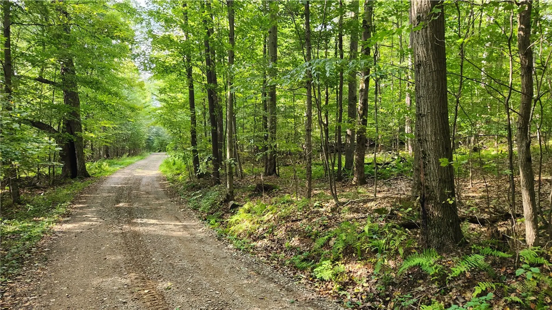 Property at Humphrey Road, Humphrey, NY 14741 3