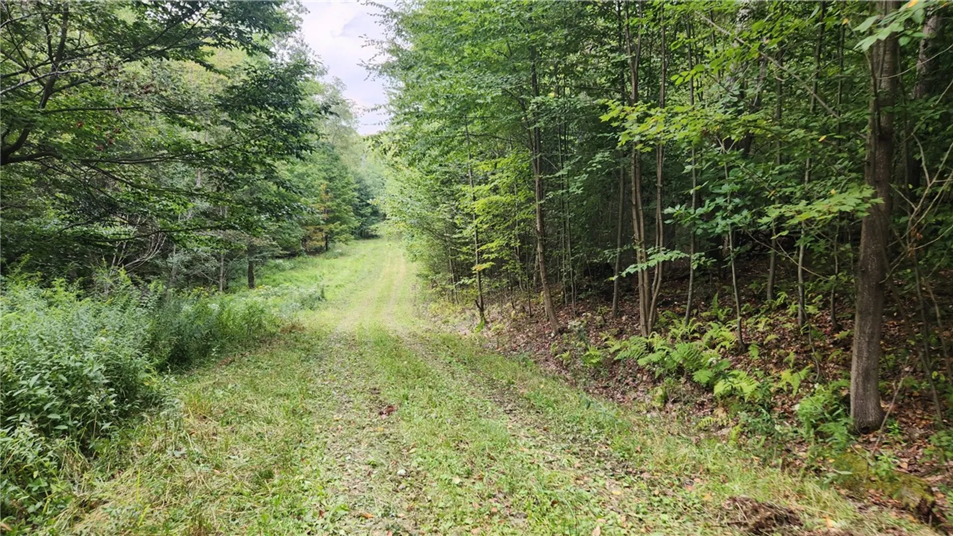 Property at Humphrey Road, Humphrey, NY 14741 4