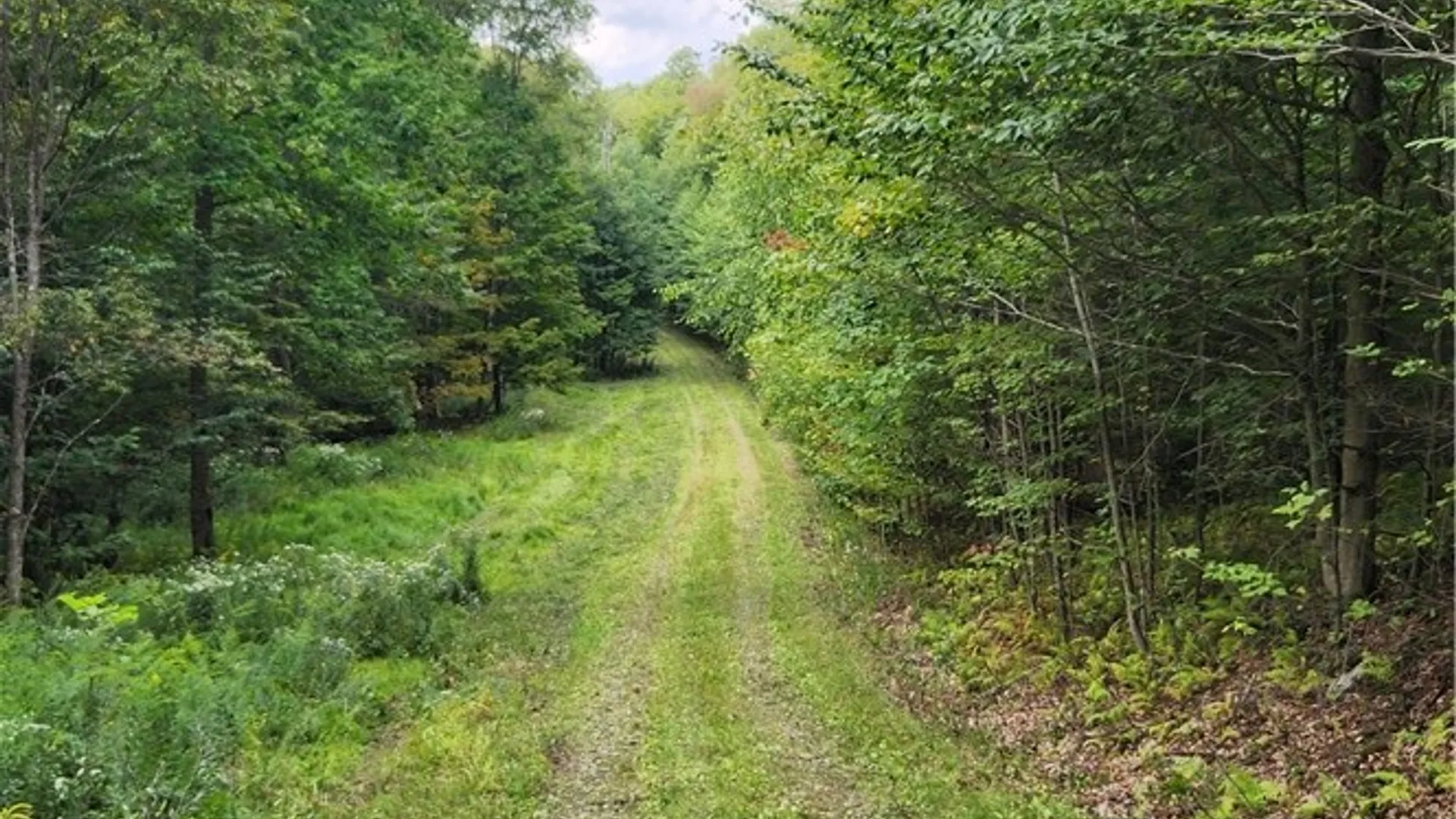 Property at Humphrey Road, Humphrey, NY 14741 5