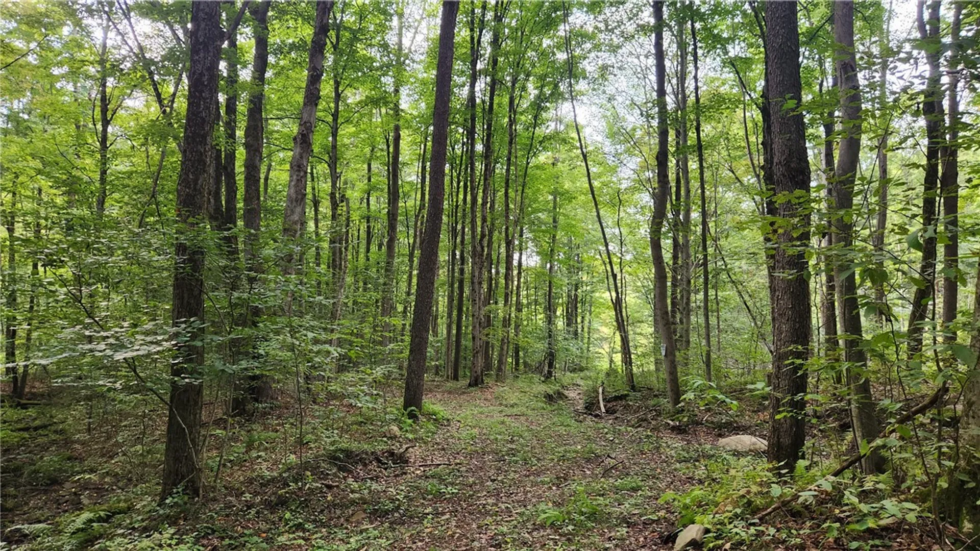 Property at Humphrey Road, Humphrey, NY 14741 8