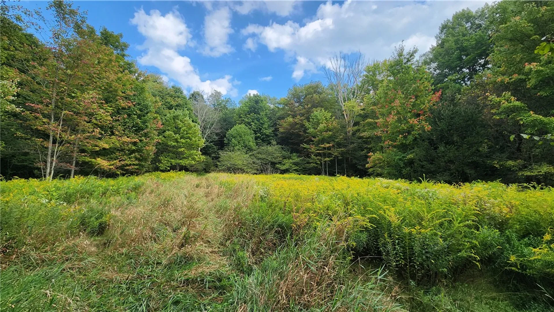 Property at Humphrey Road, Humphrey, NY 14741 9