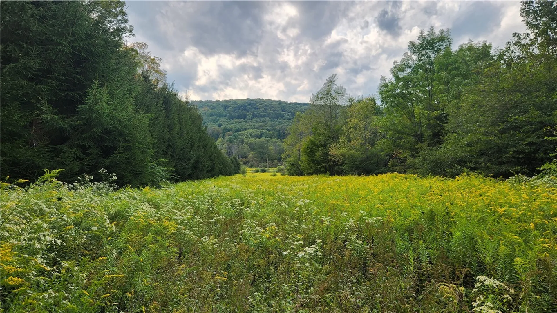 Property at Humphrey Road, Humphrey, NY 14741 11